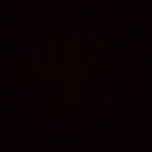 Meet your Posher, Bo